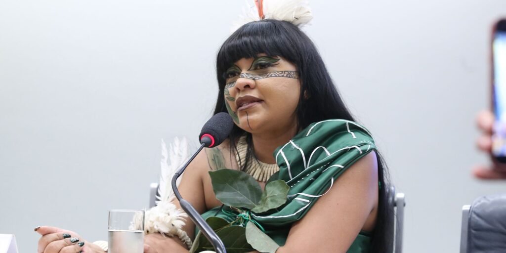 celia-xakriaba-denuncia-ao-stf-violencia-policial-durante-marcha