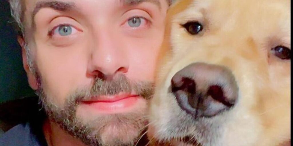 apos-caso-joca,-senado-aprova-regras-para-transporte-aereo-de-animais