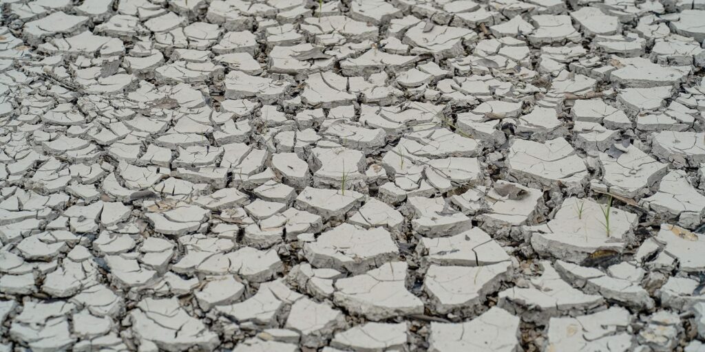 seca-se-intensifica-no-nordeste;-29%-do-territorio-registra-seca-grave