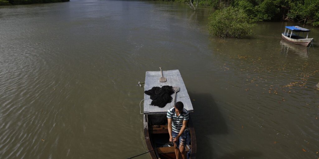 viva-maria-apresenta-trechos-da-serie-somos-amazonia