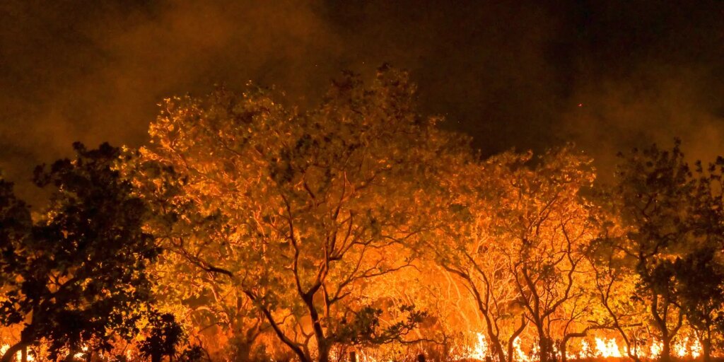 estado-de-sao-paulo-esta-na-semana-de-maior-risco-para-incendios
