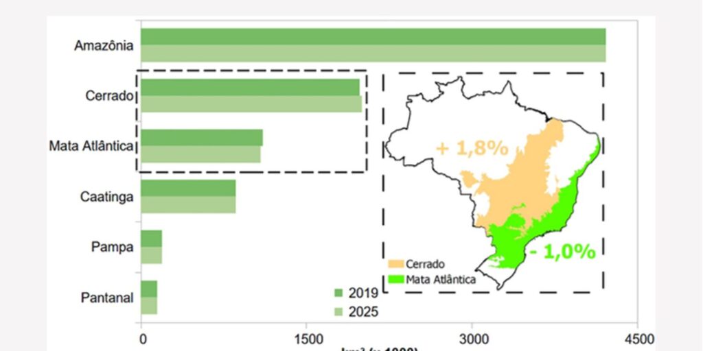 ibge-revisa-limites-de-cerrado-e-mata-atlantica-entre-minas-e-sp