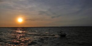 belem-recebe-mais-uma-edicao-do-natal-ecologico