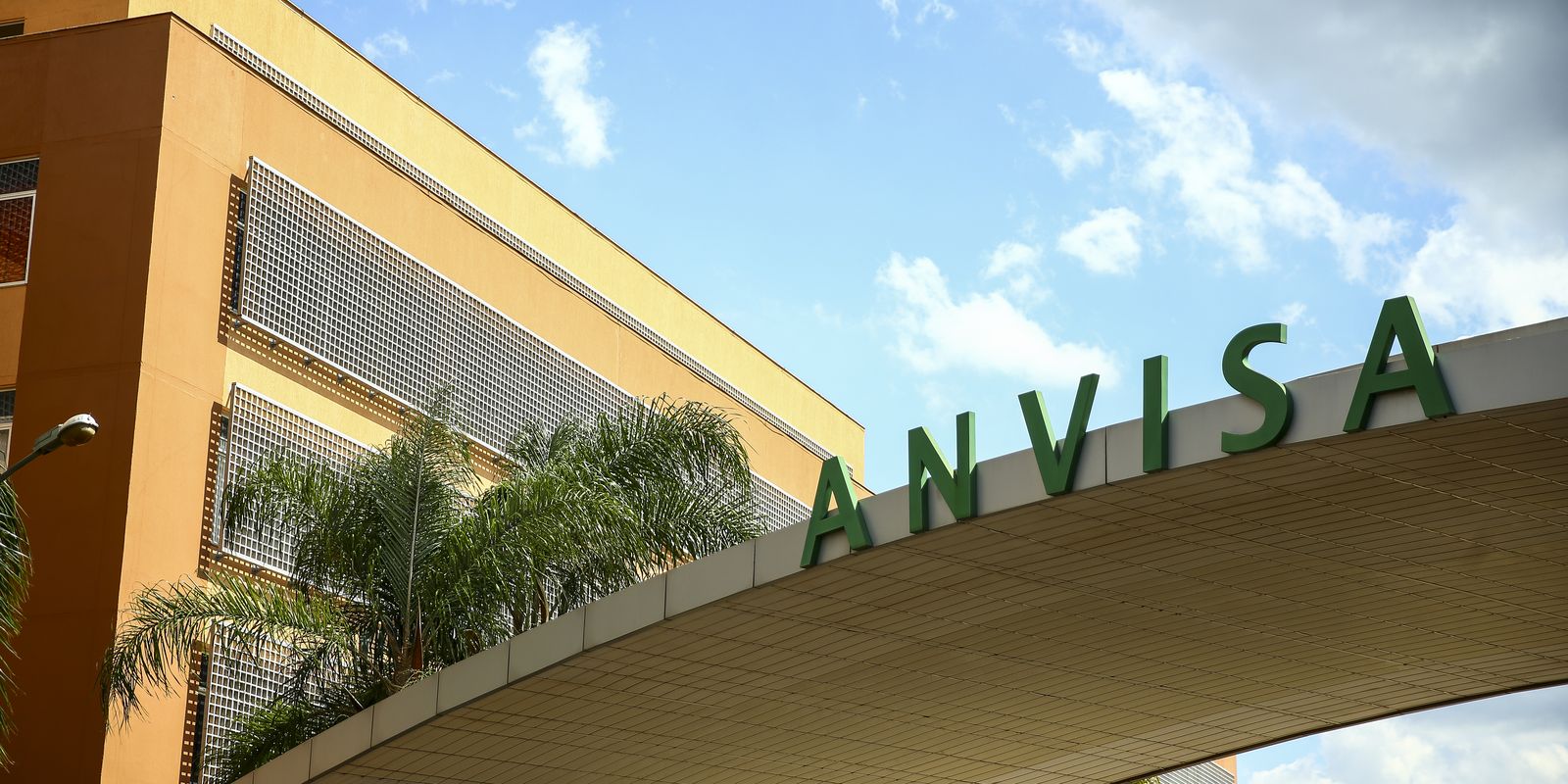 anvisa-proibe-produtos-a-base-de-alulose,-um-tipo-de-adocante;-entenda