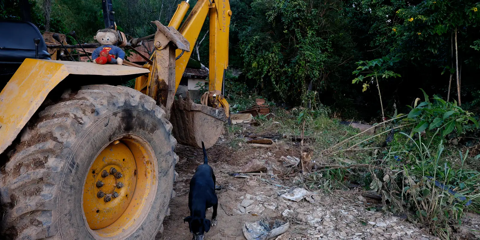 mg:-mais-de-400-produtores-rurais-foram-prejudicados-pelas-chuvas