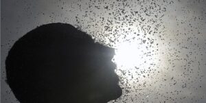 fenomeno-el-nino-deve-atingir-pico-no-fim-do-ano