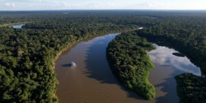 reino-unido-se-torna-o-segundo-maior-doador-do-fundo-amazonia