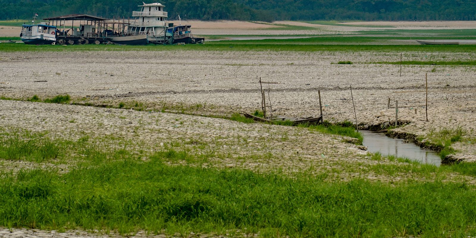 amazonia-apresenta-sinais-de-adaptacao-as-mudancas-climaticas