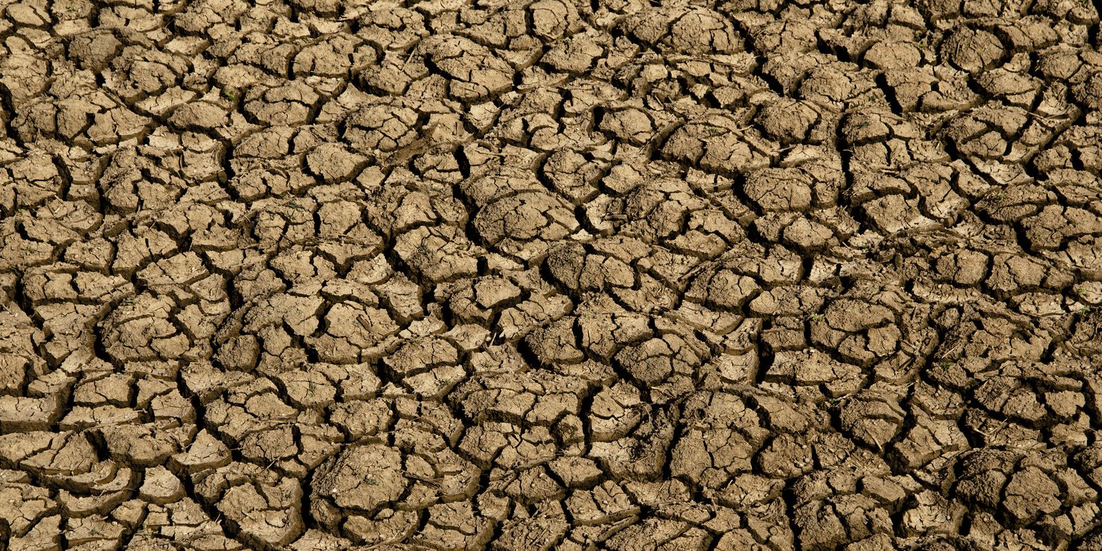 el nino:-entenda-o-fenomeno-que-intensifica-os-fenomenos-climaticos