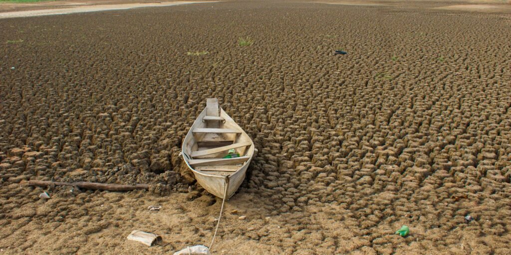dia-da-amazonia-e-celebrado-com-el-nino-e-alerta-de-seca-intensa