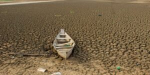 dia-da-amazonia-e-celebrado-com-el-nino-e-alerta-de-seca-intensa