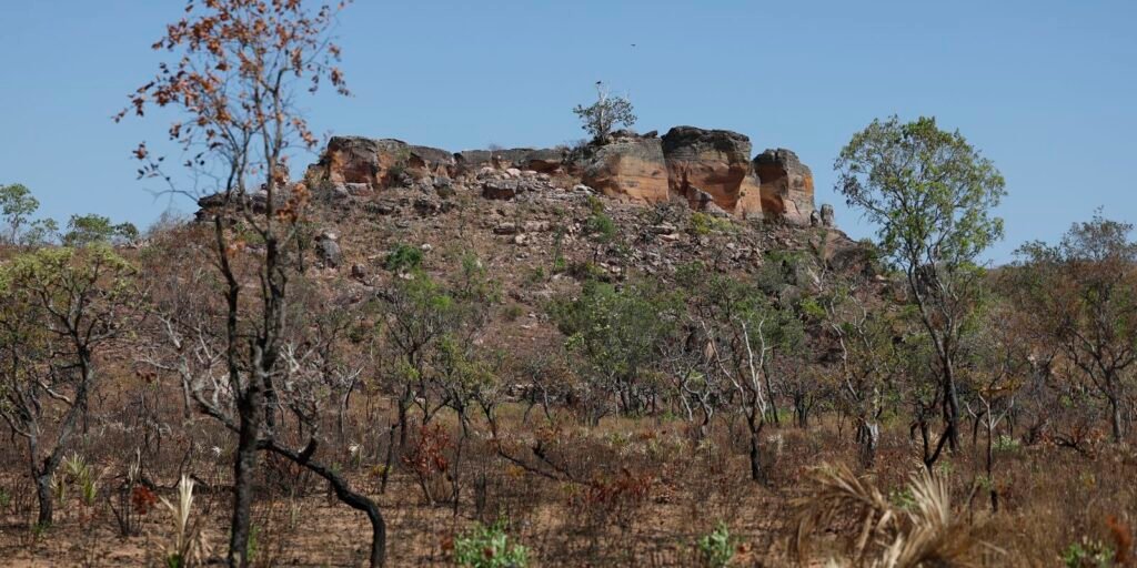 terras-indigenas-representam-preservacao-e-cultura-para-o-cerrado