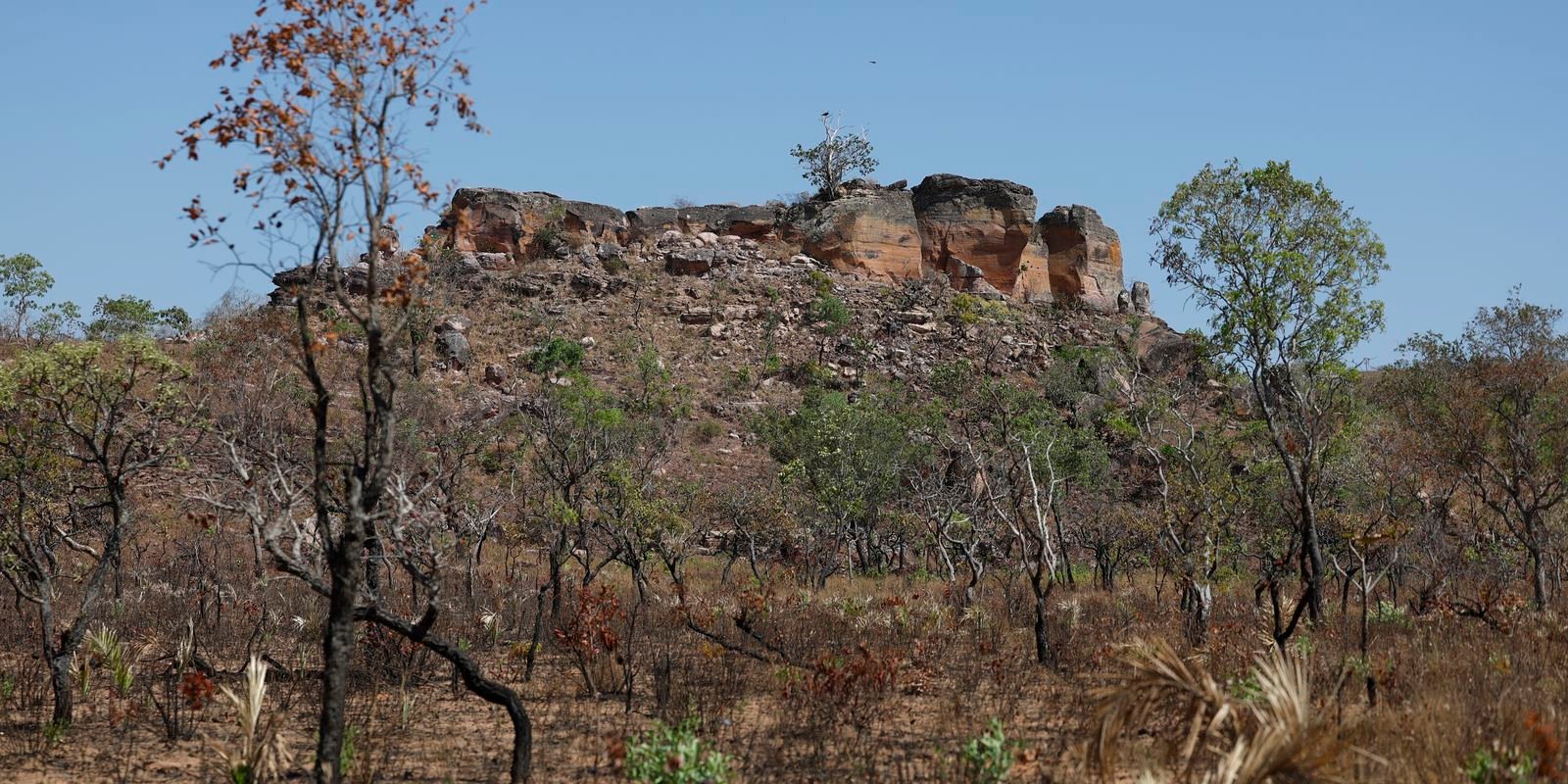 terras-indigenas-representam-preservacao-e-cultura-para-o-cerrado