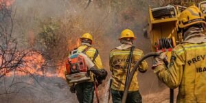 queimadas-levam-36-cidades-do-am-a-reconhecer-situacao-de-emergencia