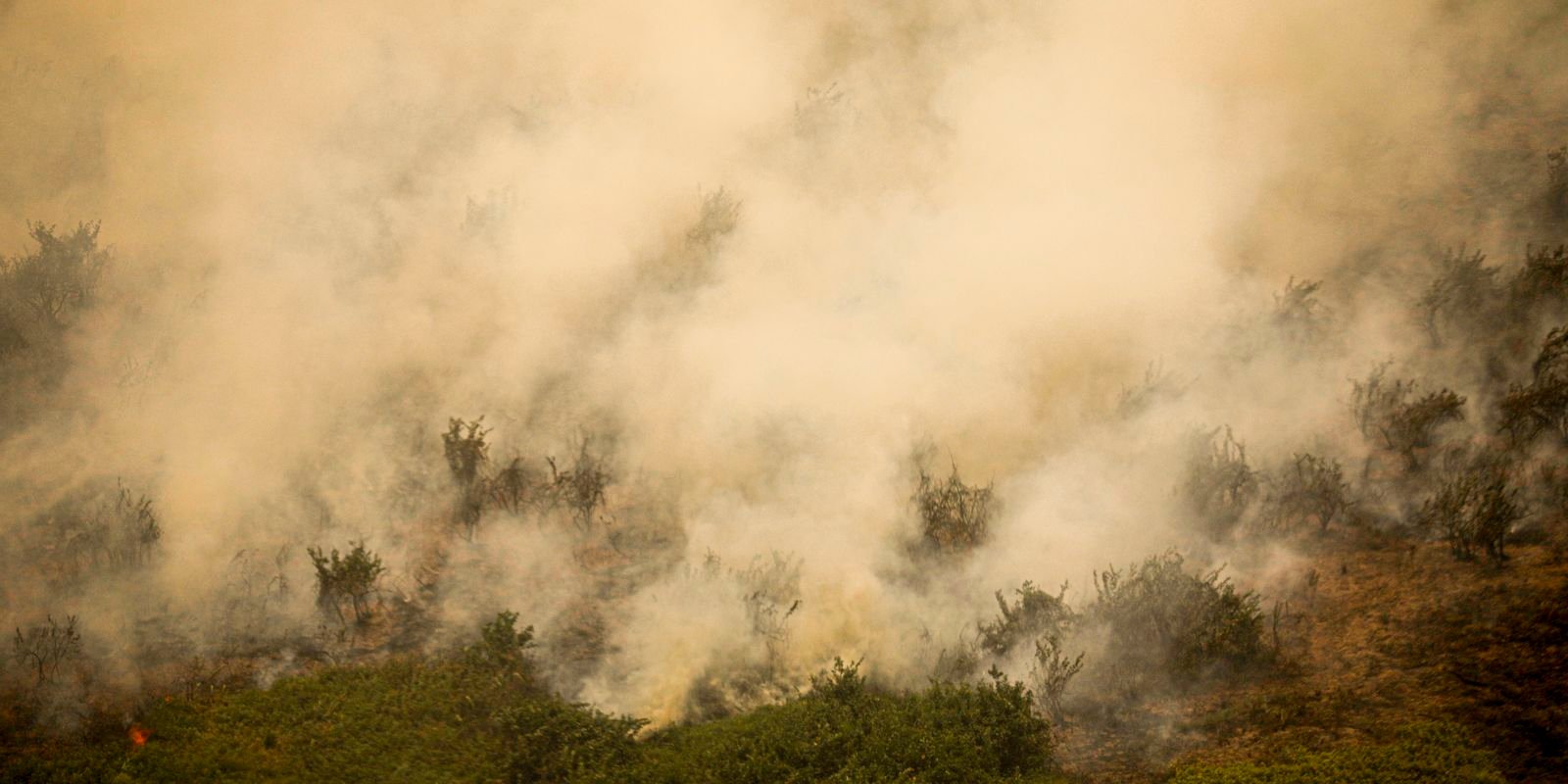 mg:-principal-foco-de-incendio-em-terra-indigena-maxakali-e-controlado