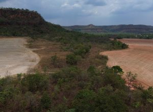amazonia-e-pantanal-batem-recorde-de-calor-em-2024