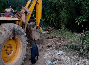 mg:-mais-de-400-produtores-rurais-foram-prejudicados-pelas-chuvas