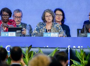 campo-grande-sedia-conferencia-da-onu-sobre-especies-migratorias