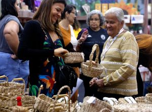 brasil-ja-tem-4,5-milhoes-de-empreendedores-da-economia-prateada