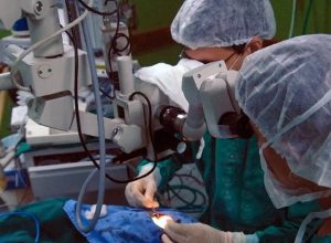risco-cardiaco-dobra-para-pacientes-com-doenca-de-chagas-apos-cirurgia