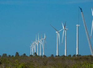 projeto-mapeia-caminhos-para-economia-verde-no-nordeste
