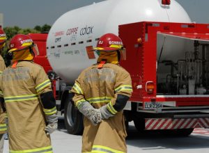 bombeiros-do-rio-ja-fizeram-18-mil-salvamentos-de-animais-em-2026