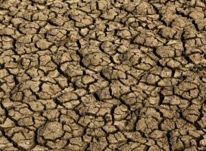 el nino:-entenda-o-fenomeno-que-intensifica-os-fenomenos-climaticos