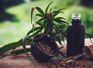 para-associacoes,-normas-ainda-deixam-pontos-em-aberto-sobre-cannabis