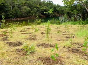 eca-ambiental-garante-direito-de-acesso-de-jovens-a-areas-verdes