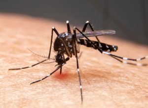 mudancas-climaticas-ja-causam-aumento-de-doencas-infecciosas-no-pais