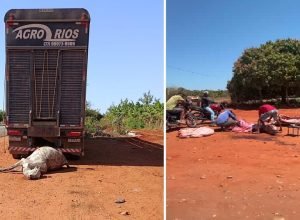 23-boi-desossado