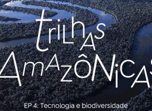 trilhas-amazonicas:-a-tecnologia-atua-para-mapear-a-biodiversidade