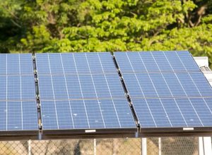 mais-de-40%-da-energia-global-vem-de-fontes-limpas-e-renovaveis