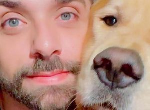 apos-caso-joca,-senado-aprova-regras-para-transporte-aereo-de-animais