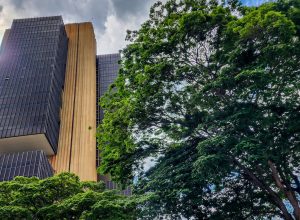 conselho-monetario-aprova-moeda-dos-60-anos-do-banco-central