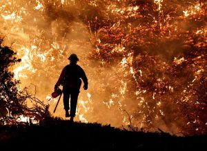 ibama-identifica-242-pessoas-responsaveis-por-incendios-em-2024
