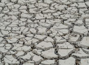 seca-se-intensifica-no-nordeste;-29%-do-territorio-registra-seca-grave