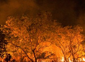 estado-de-sao-paulo-esta-na-semana-de-maior-risco-para-incendios