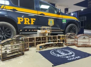 Foto: Divulgação | PRF