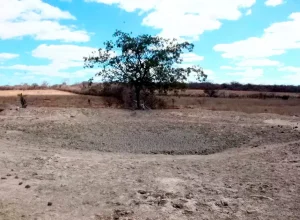 Foto: Wilker Porto | Agora Sudoeste